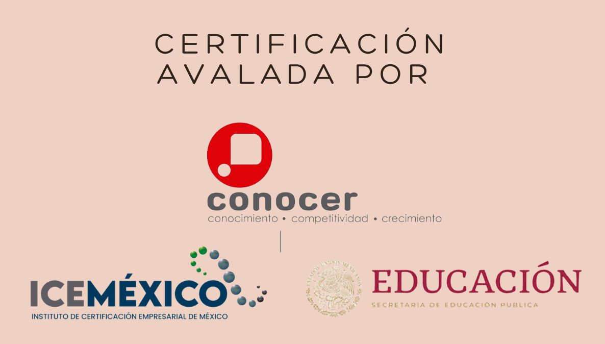 Certificación en barre y pilates