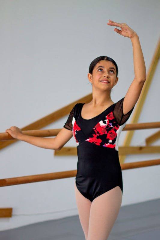 Modelo Catarina