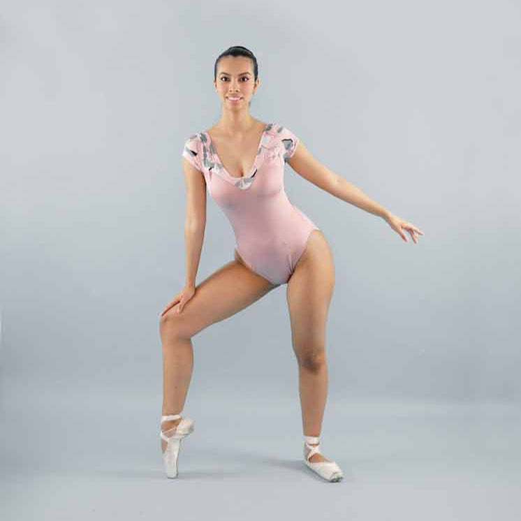 Modelo Corazón
